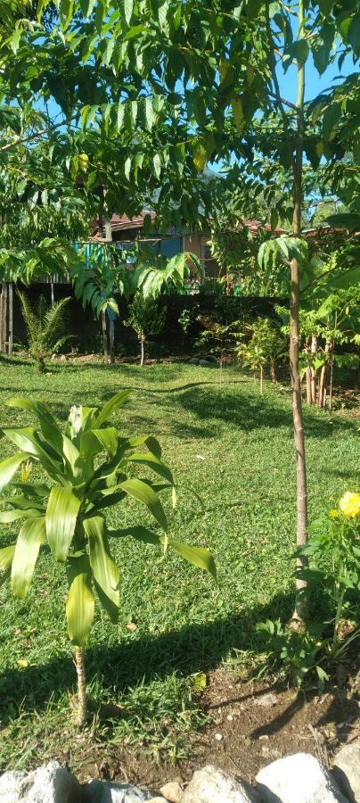 Karleta Homestay Ruteng Luaran gambar