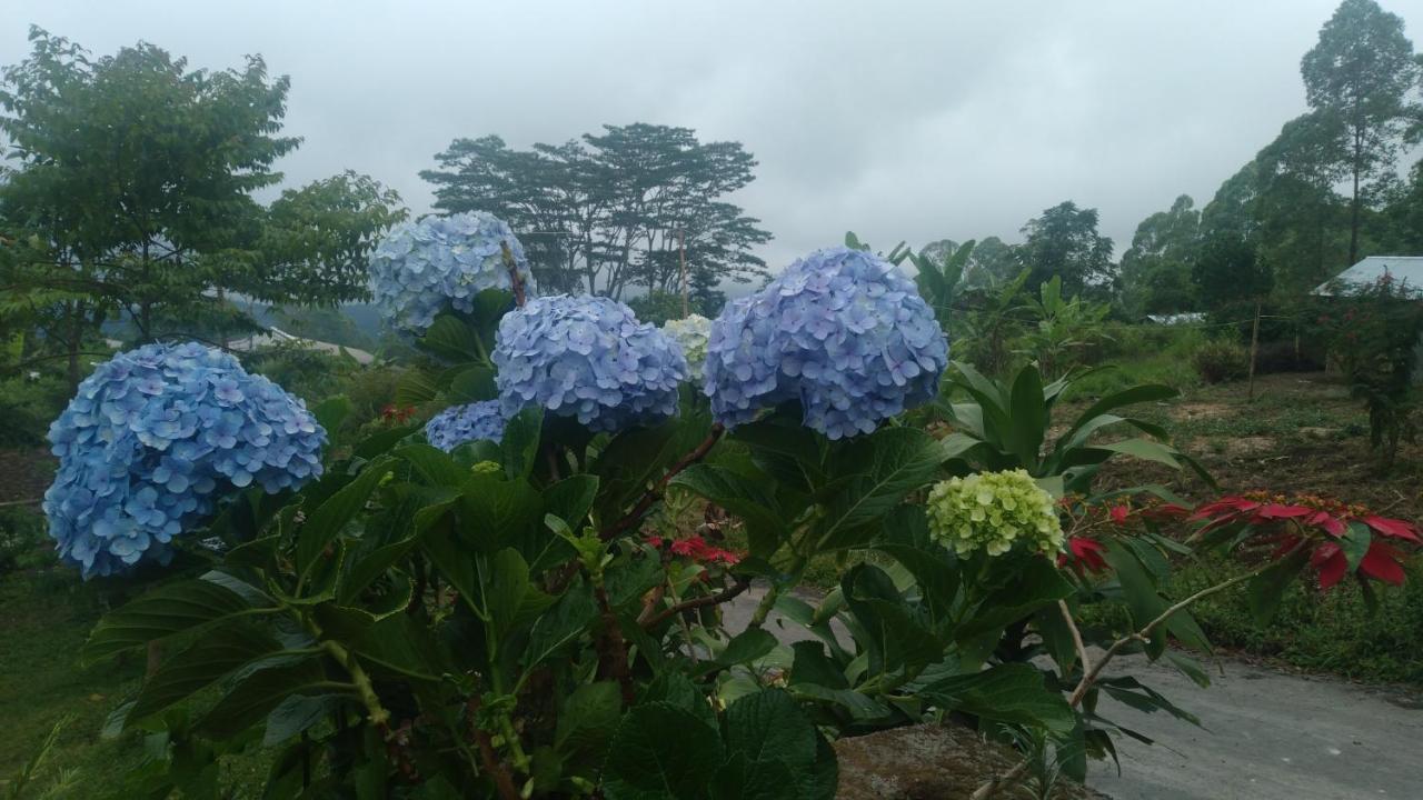 Karleta Homestay Ruteng Luaran gambar